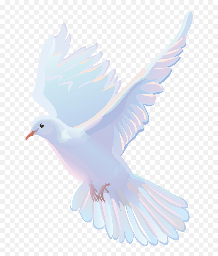 Download Hd Vector - Pigeons And Doves Transparent Png,Doves Png