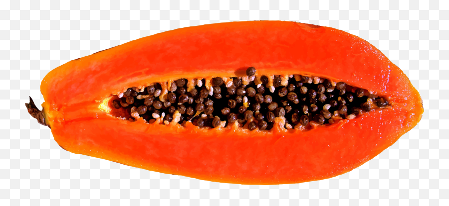 Free Papaya Png Download Clip Art - Fruta Papaya,Papaya Png