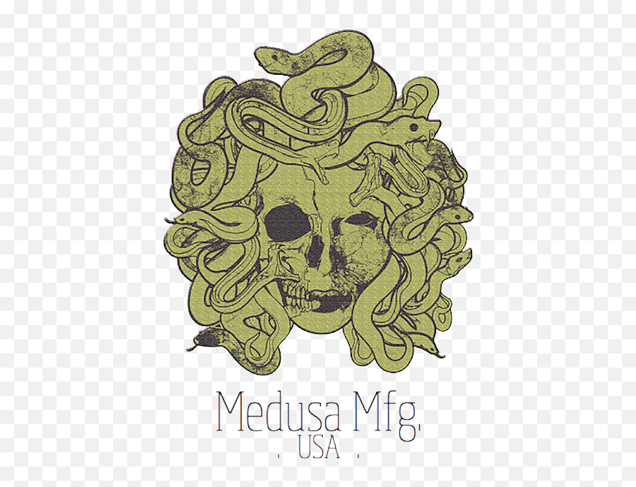 Download Medusa Manufacturing - Medusa Snake Hair Png Image Medusa Snake Hair,Medusa Png