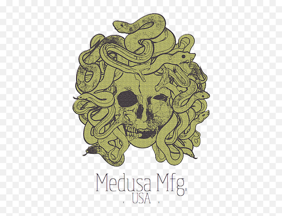 Download Medusa Manufacturing - Medusa Snake Hair Png Image Medusa Snake Hair,Medusa Png Download Medusa Manufacturing - Medusa Snake Hair Png Image Medusa Snake Hair,Medusa Png
