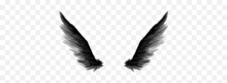 Angel Wings Png Hd Photo Real - Png Black Angel Wings,Png Wings