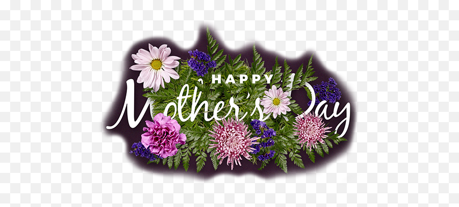 Mothers Day Logo Copy - Floral Png,Mothers Day Logo