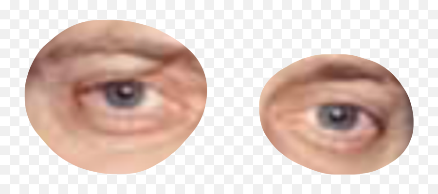Largest Collection Of Free - Toedit Steve Buscemi Stickers Steve Buscemi Eyes Transparent Png,Steve Buscemi Png