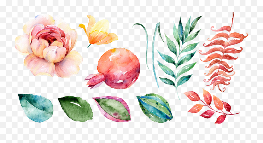 Watercolor Paint - Coconut Flower Water Color Png,Watercolor Clipart Png