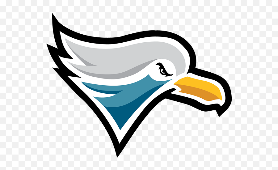 Jersey Gulls - Gulls Logo Png,Seagull Icon