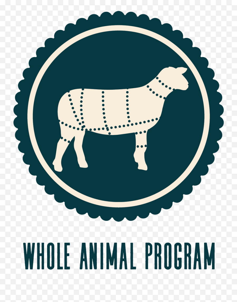 Freedom Run Farm Lamb - Cara Membuat Bingkai Di Coreldraw Png,Sheep Icon Png
