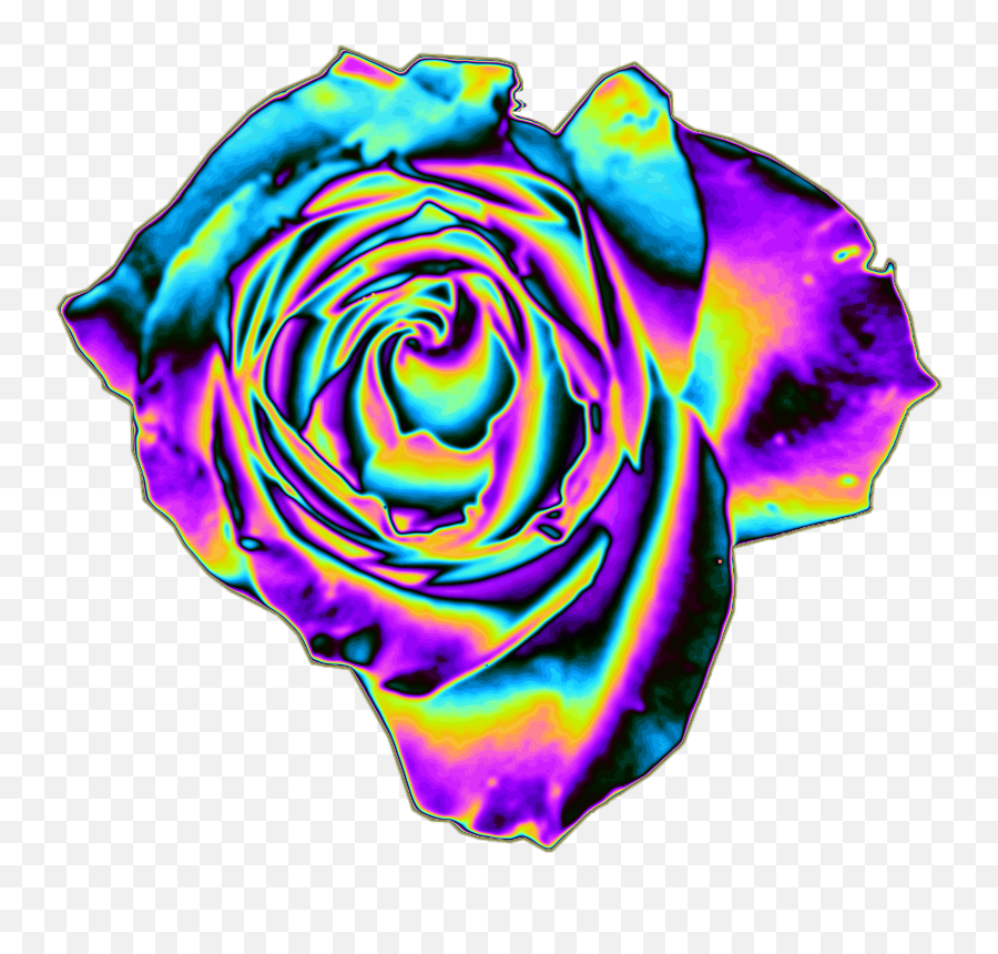 Rose Holo Holographic Flower 264064820007212 By Dinaaaaaah - Background Transparent Rainbow Flower Png,Flower Icon Tumblr