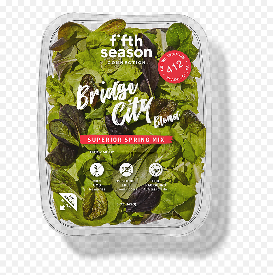 Local Fresh Greens - The Best Fresh Food Delivery Fifth Season Food Storage Containers Png,Bc Rich Icon V