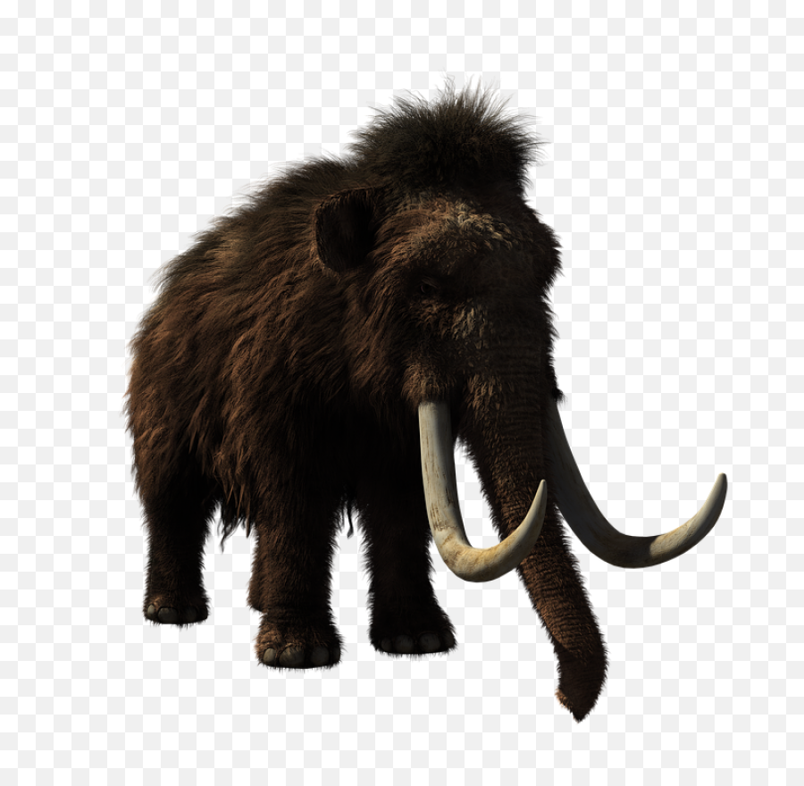 Download Baby Elephant Png Image For Free - Woolly Mammoth,Elephant Png