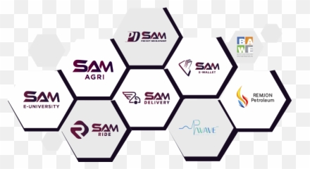 Sam Digital Tech - Hospital At Home Program png