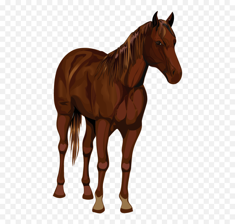 Caballo 02 - Sorrel Png,Caballo Png