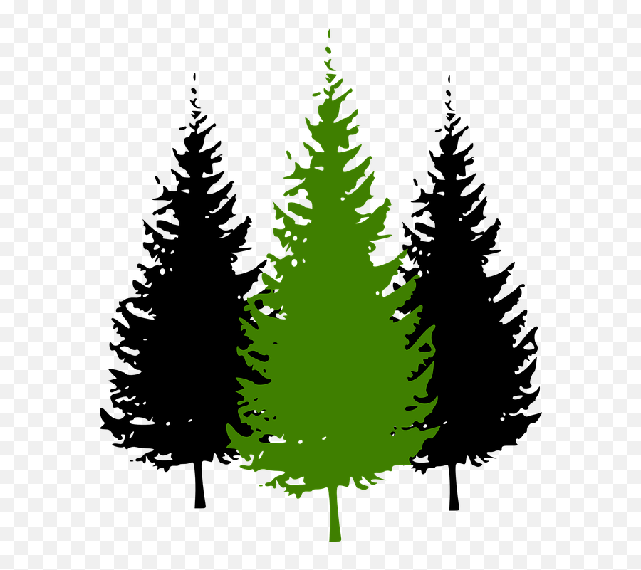 Library Of Pine Tree With Snow Graphic - Vector Cartoon Pine Tree Png,Pine Tree Transparent Background