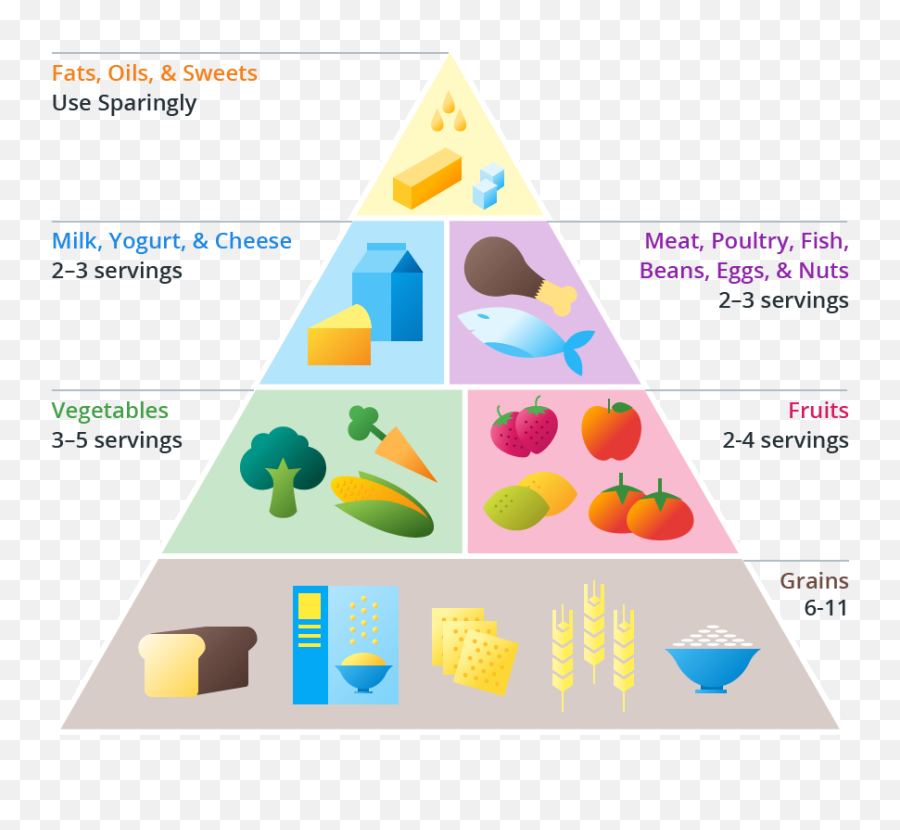 Food Pyramid - Diagram Full Size Png Download Seekpng Diagram Of Food Pyramid,Food Pyramid Png