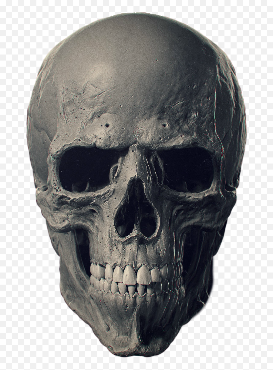 Skeleton Skull Png Clipart - Skeleton Skull,Skull Head Png