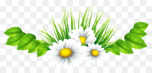 Hoa Png Transparent Hoapng Images Pluspng - Trang Trí Png
