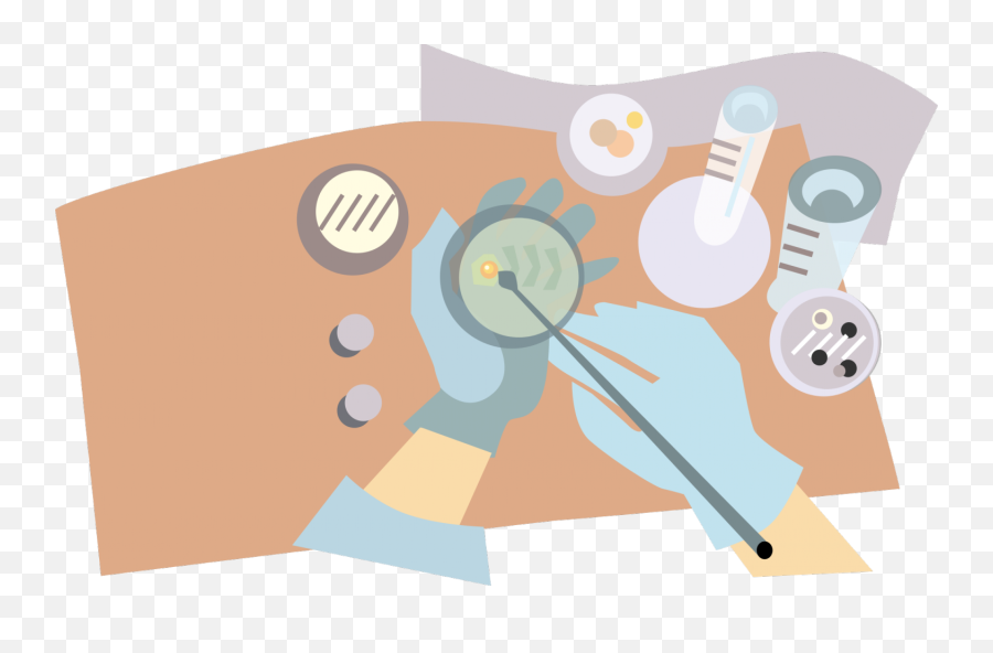 Vector Graphics Of Microbiologist Putting Bacteria Onto The - Microbiology Clipart Png,Bacteria Transparent Background