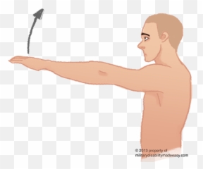 Muscle Arms - Straight Forward Transparent Png Shoulder Pain When Lifting