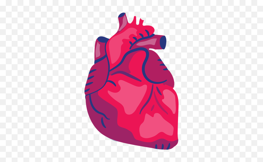 Transparent Png Svg Vector File - Corazon Anatomico Dibujo Png,Heart Organ Png