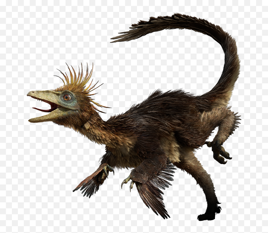 Dino - Walking With Dinosaurs Troodon Png,Dinosaurs Png