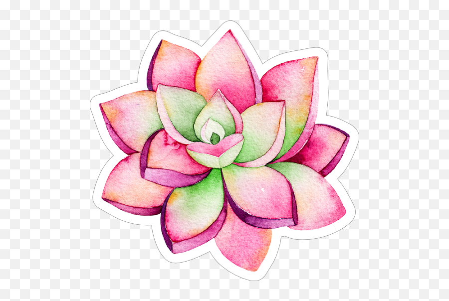 Pink And Green Watercolor Succulent Sticker - Watercolor Sticker Png,Green Watercolor Png