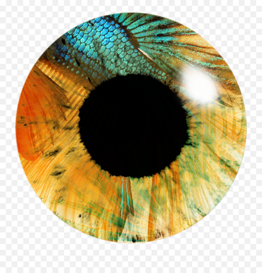 Picsart Eye Lens Png Transparent Flare
