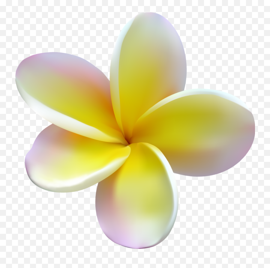 Full Size Png Image - Girly,Plumeria Png