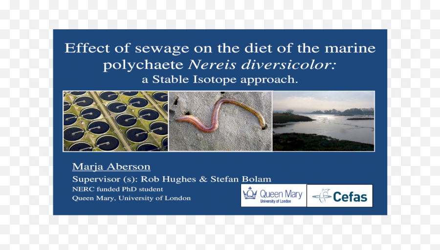 Aberson Ecsa Meeting April 2009 - Pdf Document Sewage Treatment Works Png,Transparent Ribbon Eel
