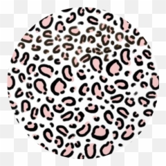 Leopard Leopardprint Icon Sticker By Tabi - Cheetah Print White Background Png,Leopard Icon