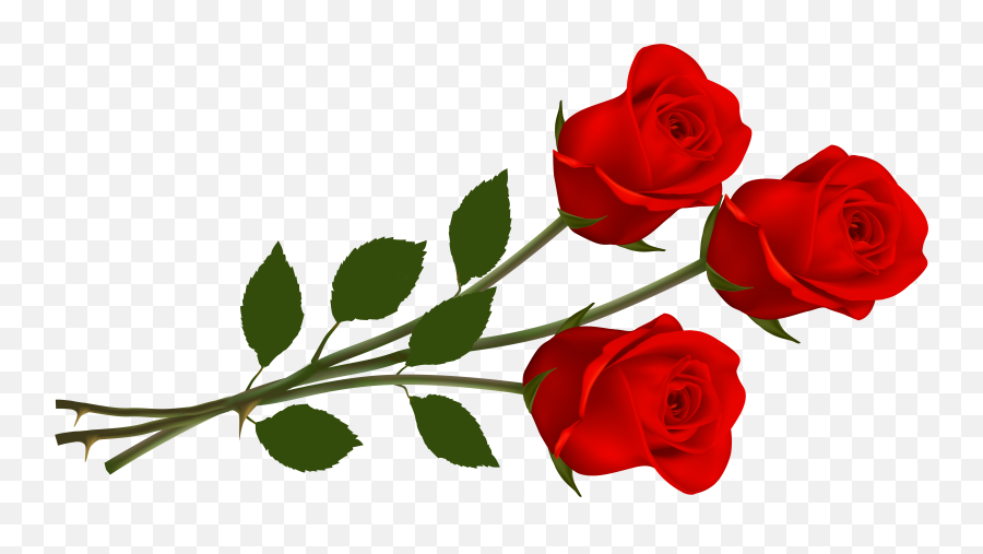 Library Of Red Rose Flowers Clipart - Valentines Day Roses Clipart Png,Real Rose Png