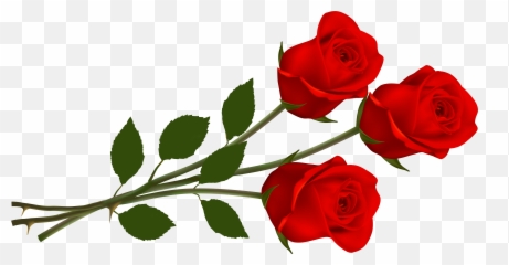 Library Of Red Rose Flowers Clipart - Valentines Day Roses Clipart Png,Real Rose Png