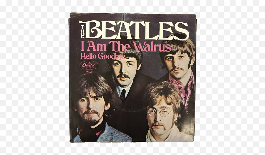 I Am The Walrus - Am The Walrus Beatles Png,Beatles Png
