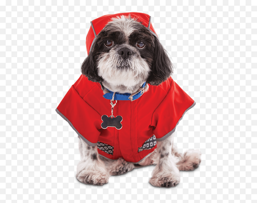 Good2go Reversible Dog Raincoat In Red Extra Small - Dog Clothes Png,Shih Tzu Icon