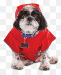 Good2go Reversible Dog Raincoat Red Extra Small - Clothes png