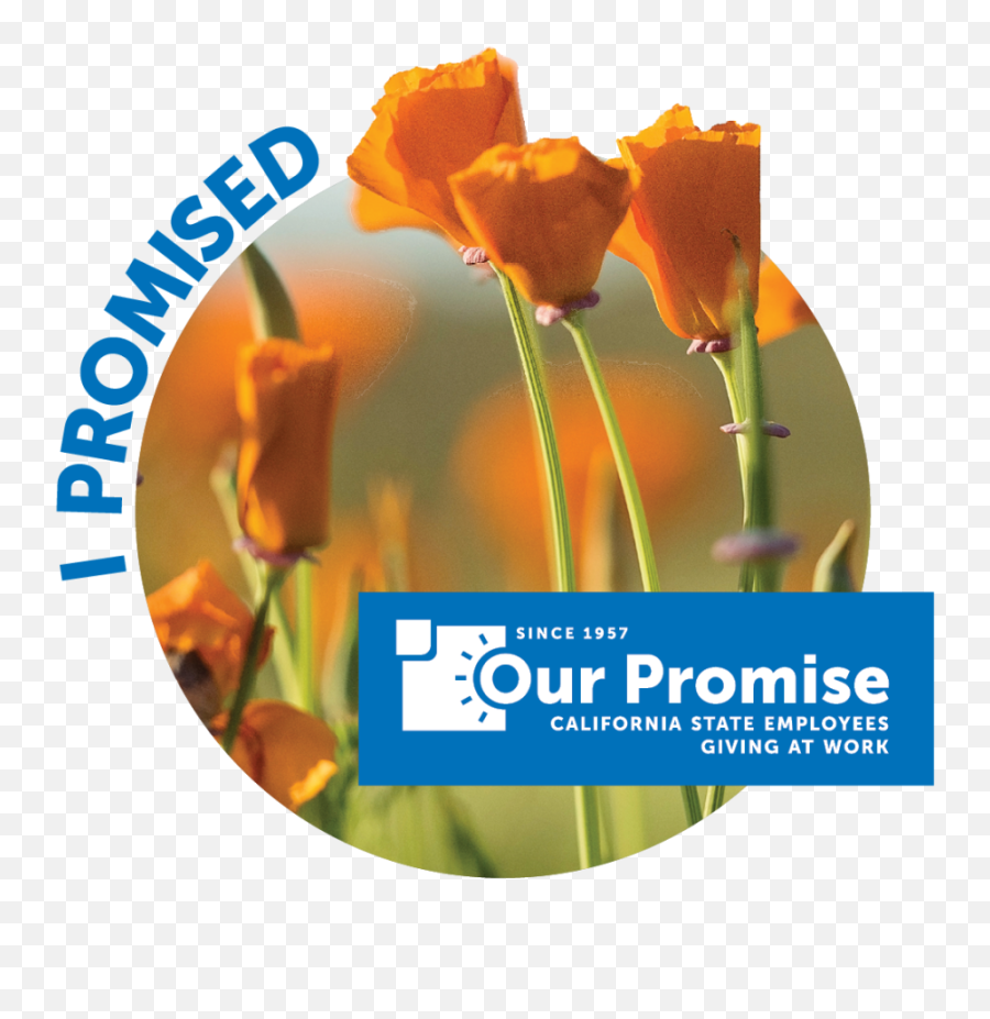 Give - Our Promise Language Png,Our Promise Icon