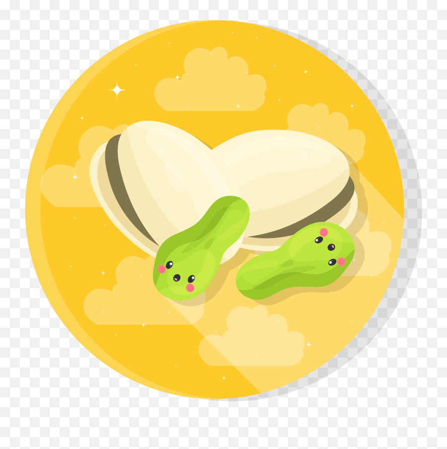 Flat Icon - Nuts Graphic By Uppoint Design Creative Fabrica Amphibians Png,Heart Flat Icon