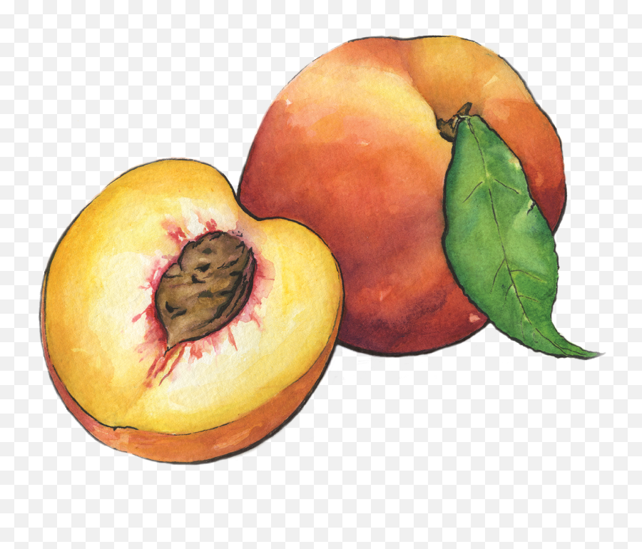 Peaches - Peaches Png,Peaches Png