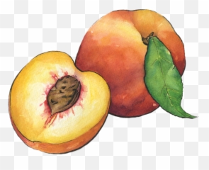 Peaches - png