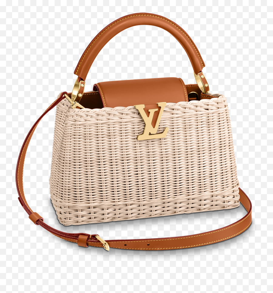 Fashion Trends The Best Bags Of Springsummer Season - Sac En Osier Tendance 2020 Png,Gucci Logo Icon For Bags