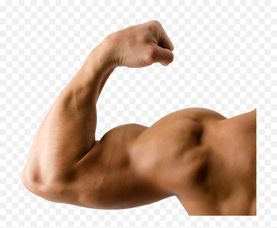 Muscles Clipart Muscle Arm Picture - Transparent Background Muscle Arm Png,Muscles Png