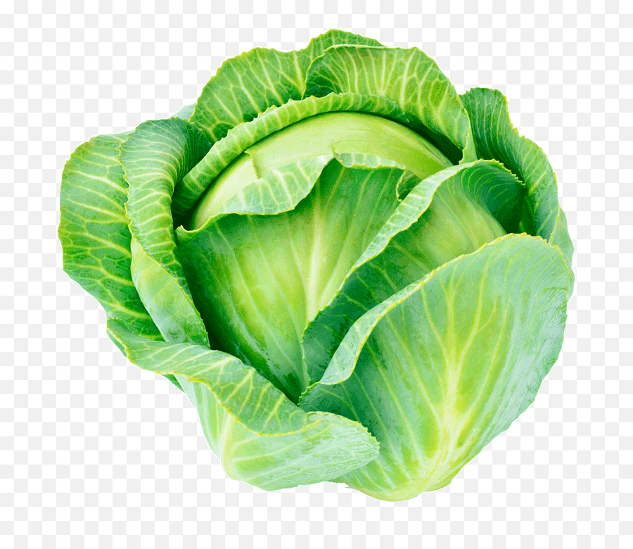 Cabbage No Background - Alimentos Parecidos Al Brocoli Png,Cabbage Png