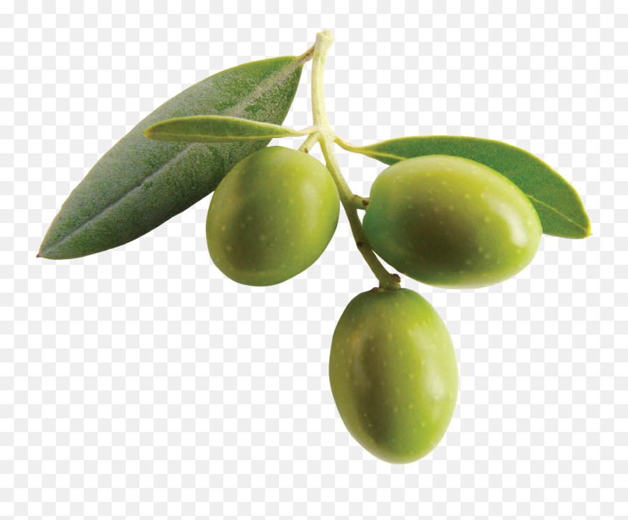 Download Olive Png Clipart - Olive Png,Olive Png