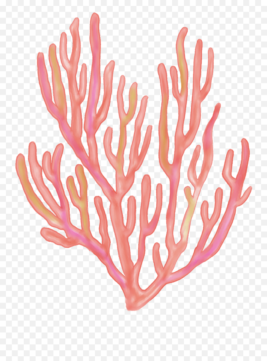 Download Hd Seaweed Coral Coralreefs Png