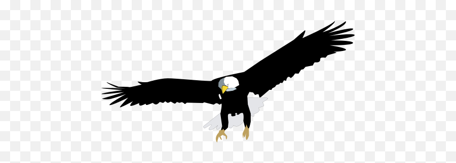 Free Vectors Eagle - Clipart Best Bald Eagle Vector Png,Eagles Logo Vector