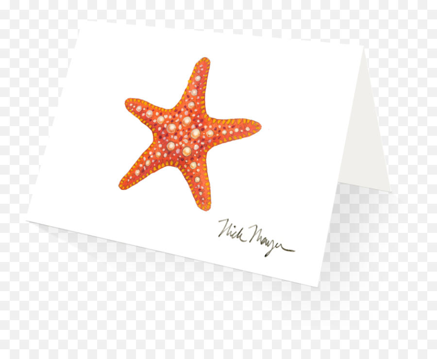 Download Hd Horned Sea Star - Starfish Png,Sea Star Png