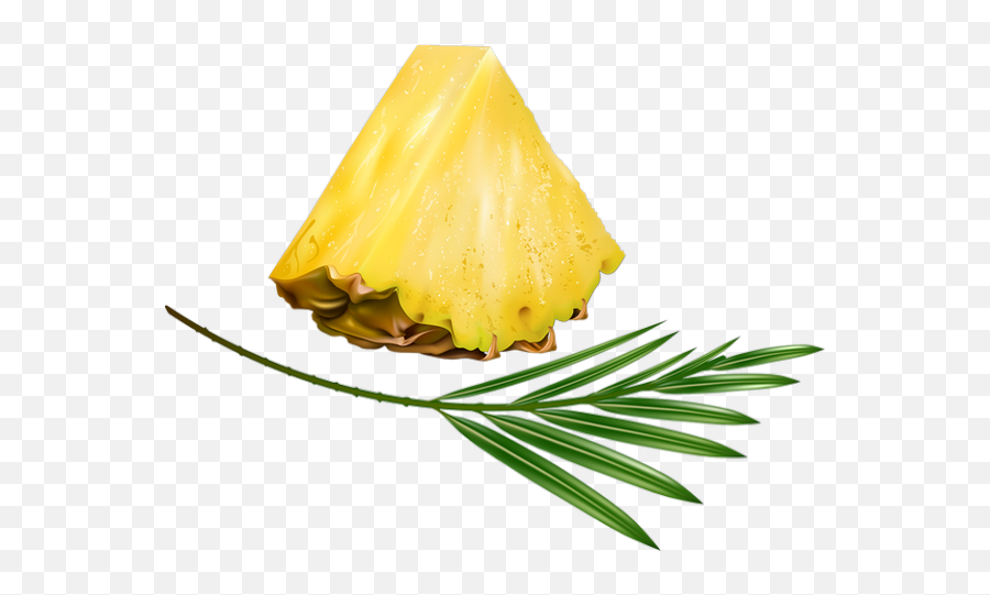 Tranche Du0027ananas Tube Fruit - Pineapple Png Piña Png Ananas,Piña Png