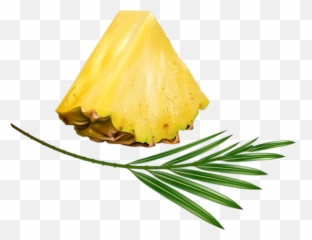 Tranche Du0027ananas Tube Fruit - Pineapple Png Piña Png Ananas,Piña Png