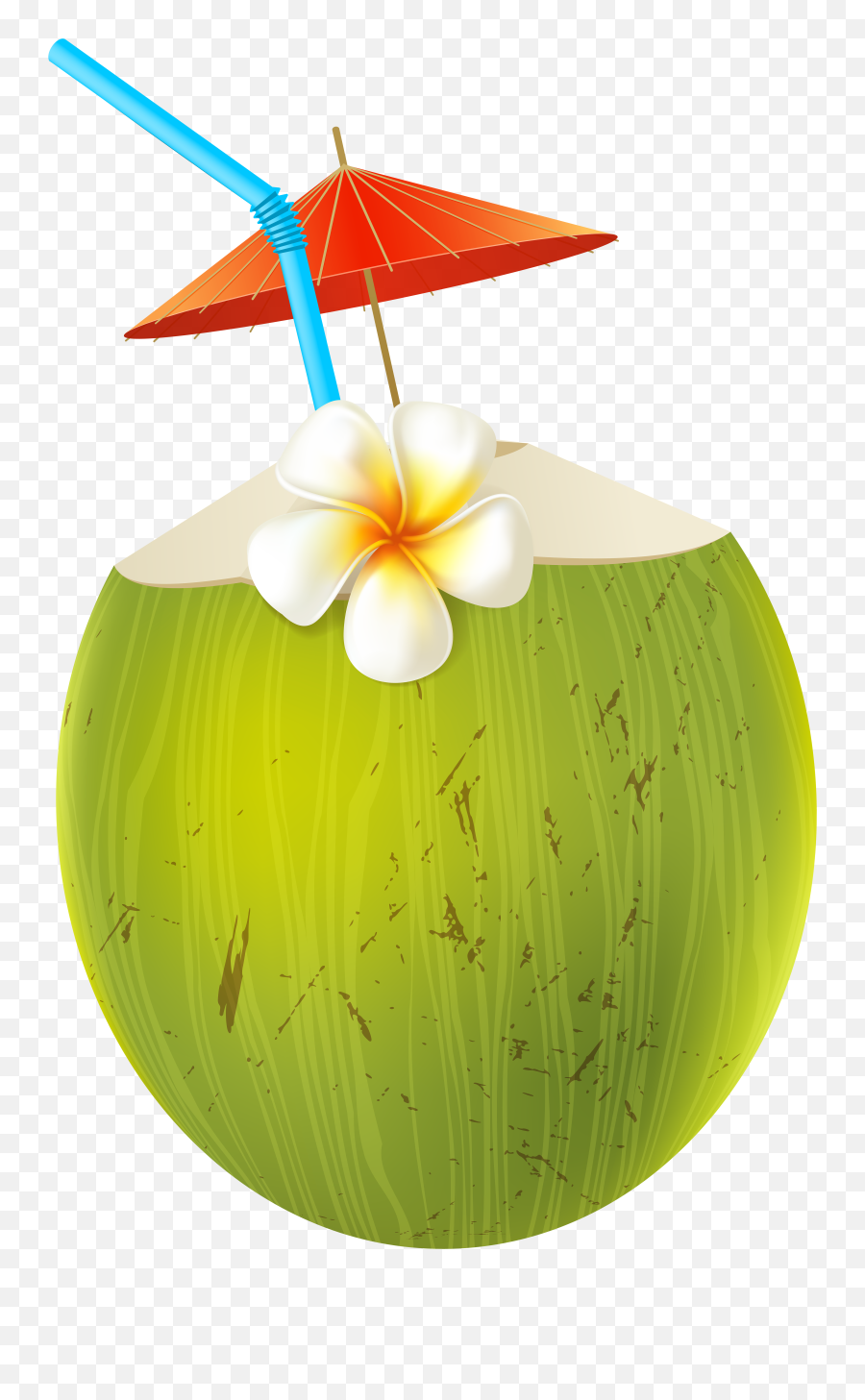 Pin By Emma Henry - Coconut Png Cartoon Coconut Juice Png,Journal Png