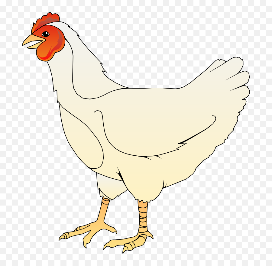 Royalty Free Library Png Files - Clipart Chicken,Chicken Clipart Png