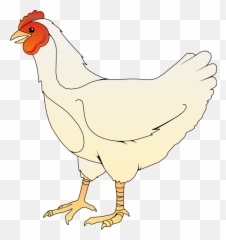 Royalty Free Library Png Files - Clipart Chicken
