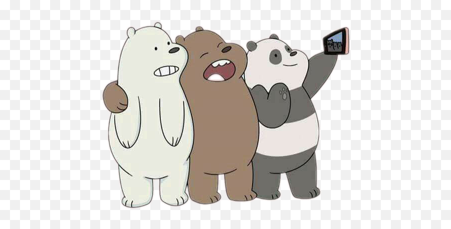 Oso Pardo Y Polar Transparent Png - Oso Polar Y Panda,Oso Png